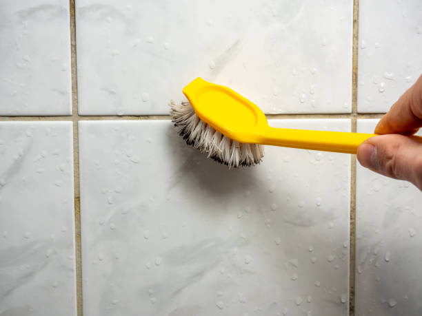 Best Mold Testing  in Nicollet, MN