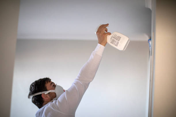 Best Home Mold Removal  in Nicollet, MN