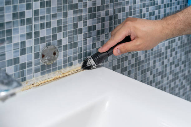 Mold Testing and Removal in Nicollet, MN