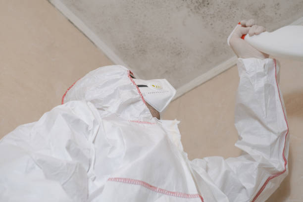Best Certified Mold Removal  in Nicollet, MN